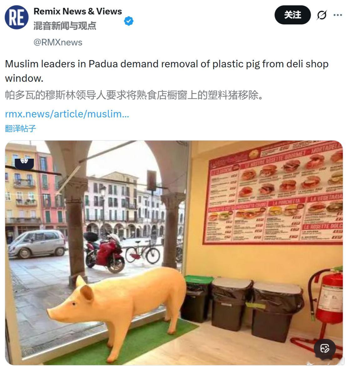 意大利帕多瓦市领主广场，一家新开的熟食店橱窗里展示的一只塑料猪引发争议。该市穆斯