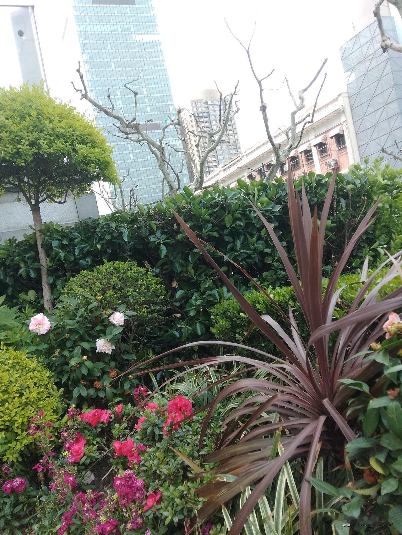 今天春雨绵绵，本来心情是开心的，可是却因为一些事情，却高兴不起来。
上午单位购买