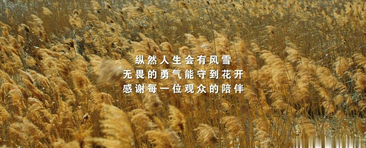 2年前被李莲花“在遗憾中安然度过此生”的处世哲学感动，结局大家都希望李莲花能小舟