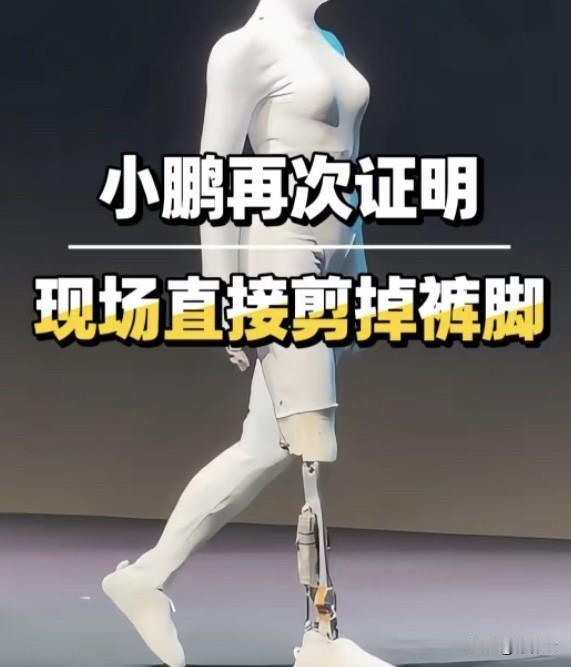 4字回应+1镜到底拆机‼️小鹏艾若一破“真人质疑”，港股直线拉升
近日鹏科技机器