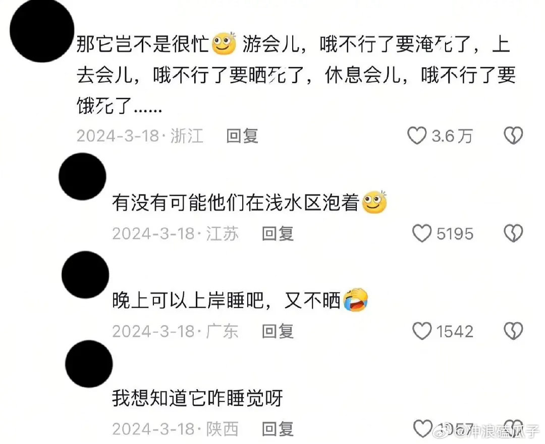河马其实不会游泳，它是在浅水区把身体沉下去，靠四条腿在水下使劲捣腾，才有它游很快