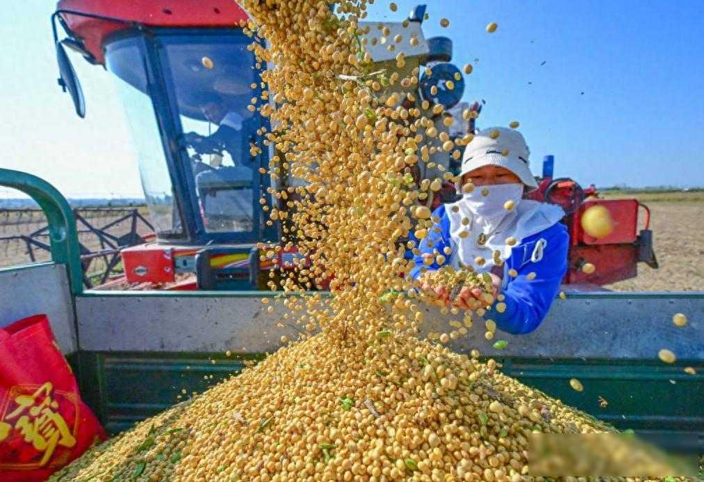 损失80亿！中国大豆被外资吞并，中储粮绝地反击，定价权回到手中
那时候国内大豆价