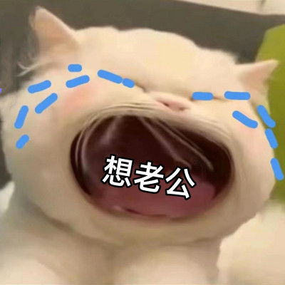 我老公呢？老公呢？老公呢？ 
