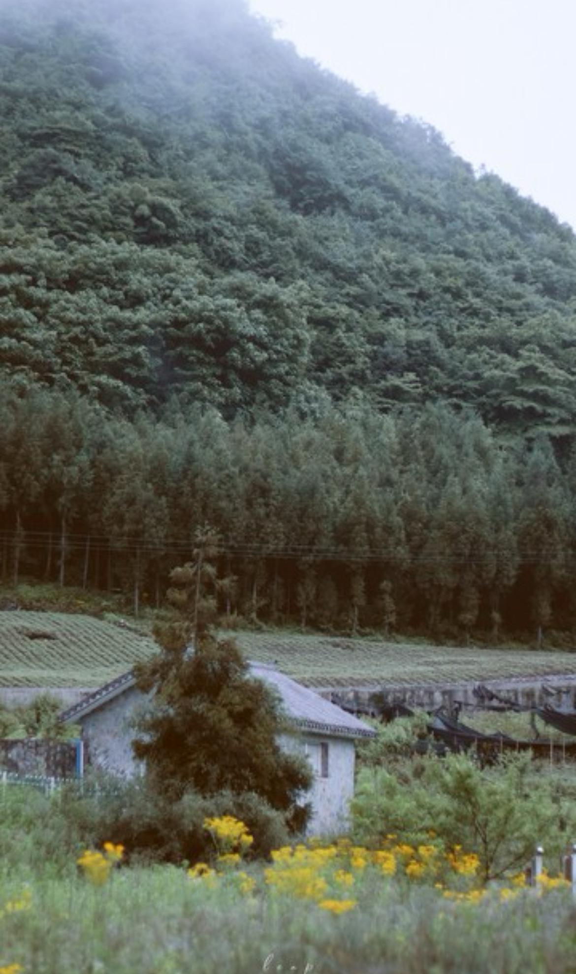 人这辈子，早醒悟早好：善良很贵，切勿盲目付出。我们都曾单纯真诚，对人毫无保留，以