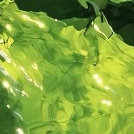 乐善好施、扶贫帮困， 是中华民族的传统美德， 相互帮忙、患难扶持， 是社会倡导的