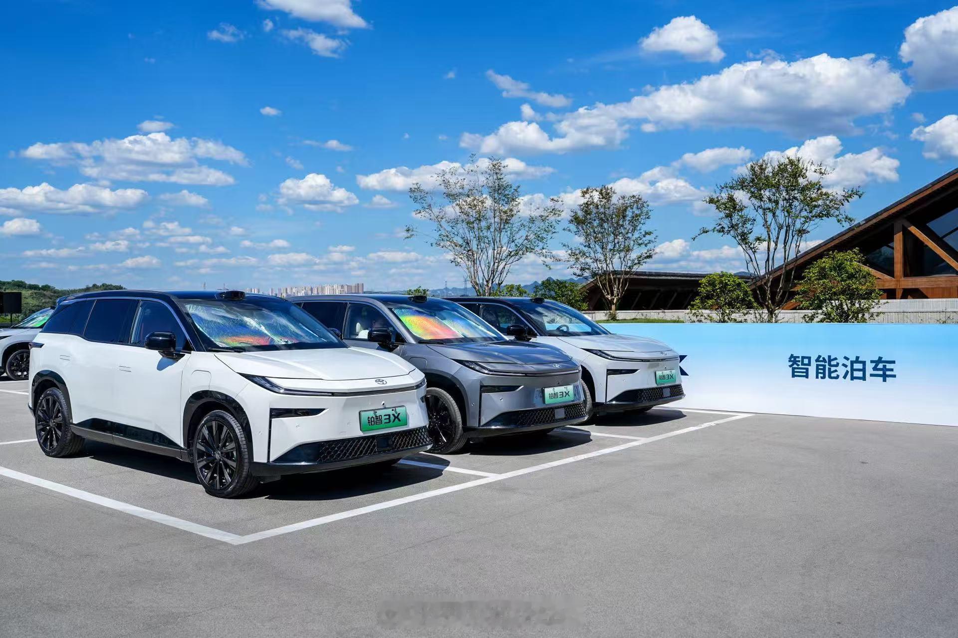 刚刷到铂智3X 10月交付数据，直接破万冲到10013台，这个数据是真不错啊，说