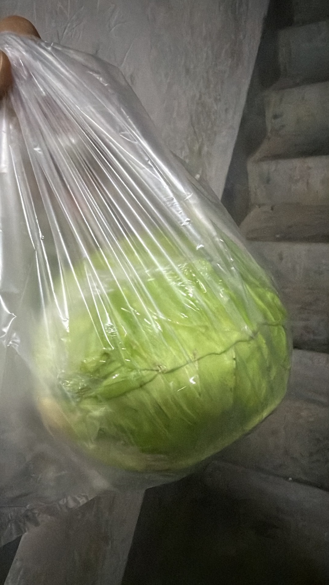 健身回来路上在那寻思明天好像没绿色菜吃了 就去超市看了眼 一个包菜只要我1.7