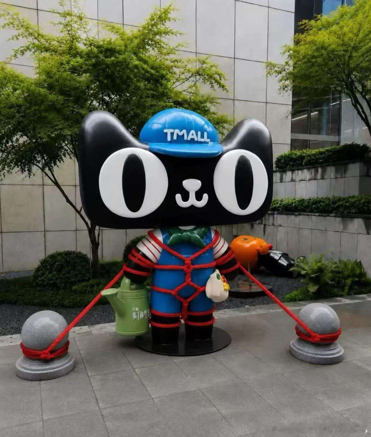 为了应对强台风巴威，这谁绑的？这绑法怎么这么眼熟？
