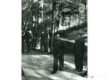 1952年毛主席走进曲阜孔林，穿行在参天古柏之间，静心探访千年儒家古迹。从容伫立