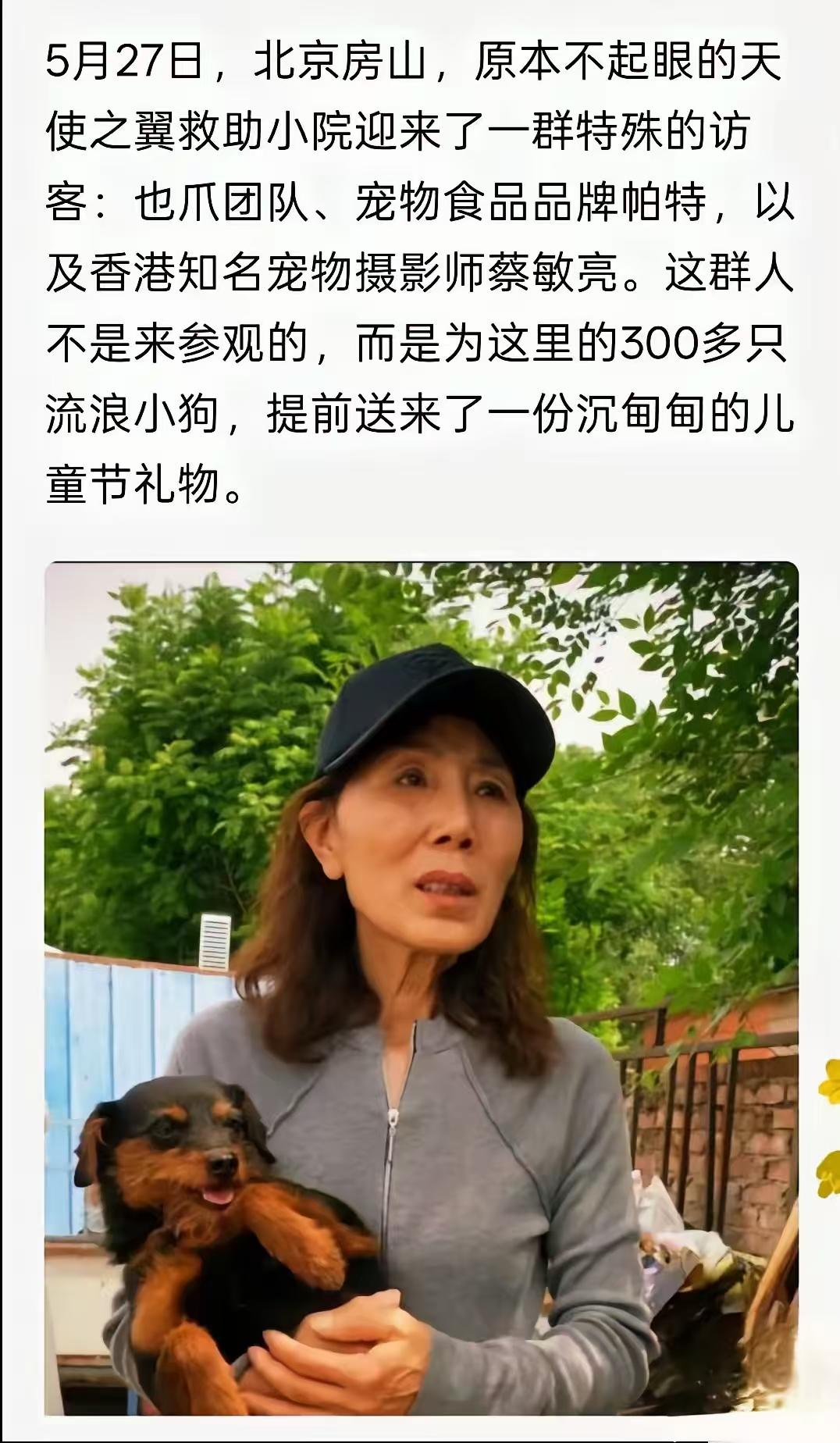 给狗过生日，还被北青网报道了！大肆报道，还沉甸甸的爱！学校跟孩子过六一儿童节因为
