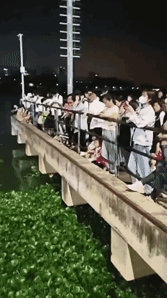 夜钓现场人山人海，围观群众挤满桥面只为看一尾大鱼上钩！[泣不成声]