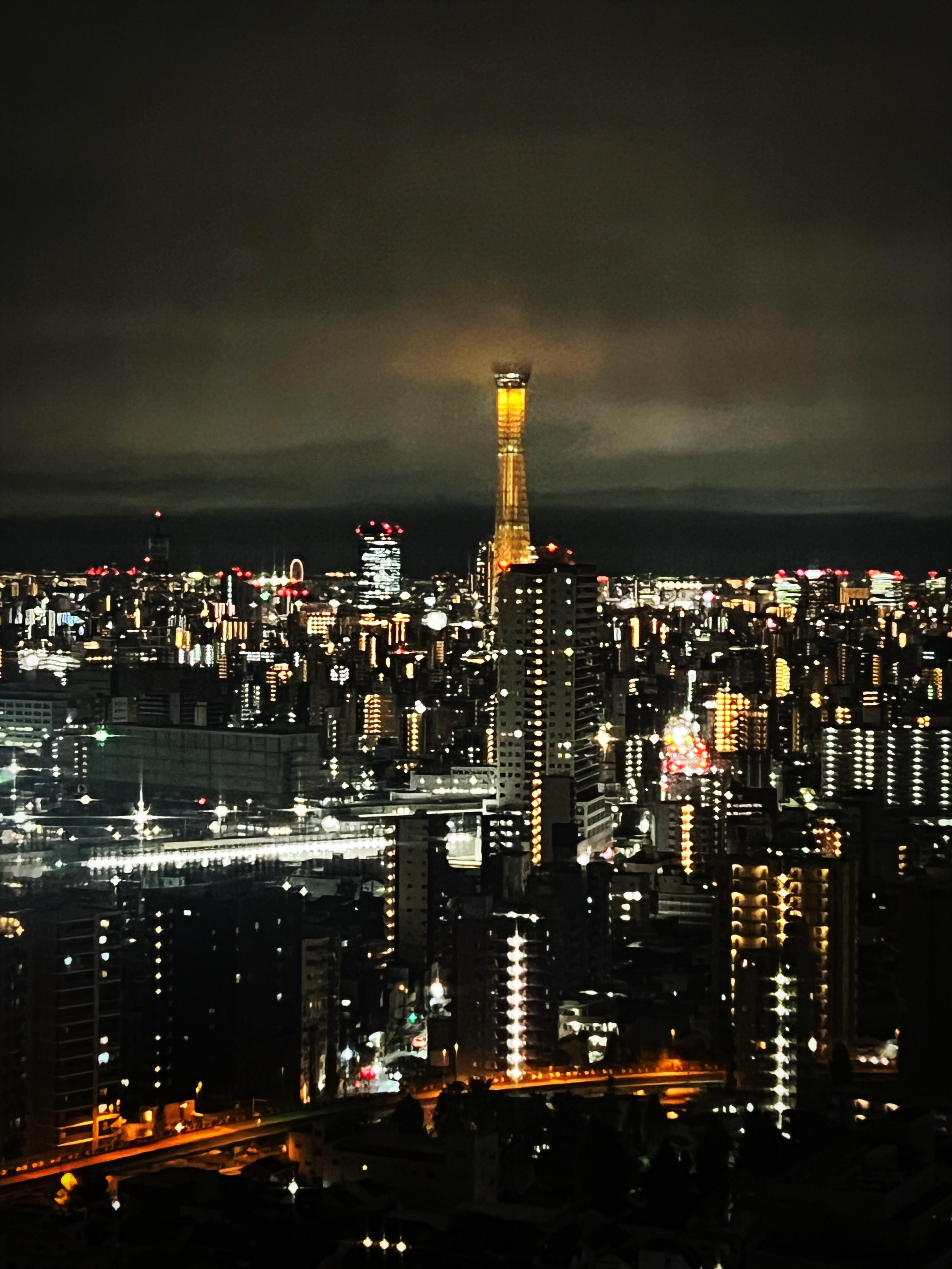 天天下雨，天天下雨！天空树，都跑云里去了。 ​​​