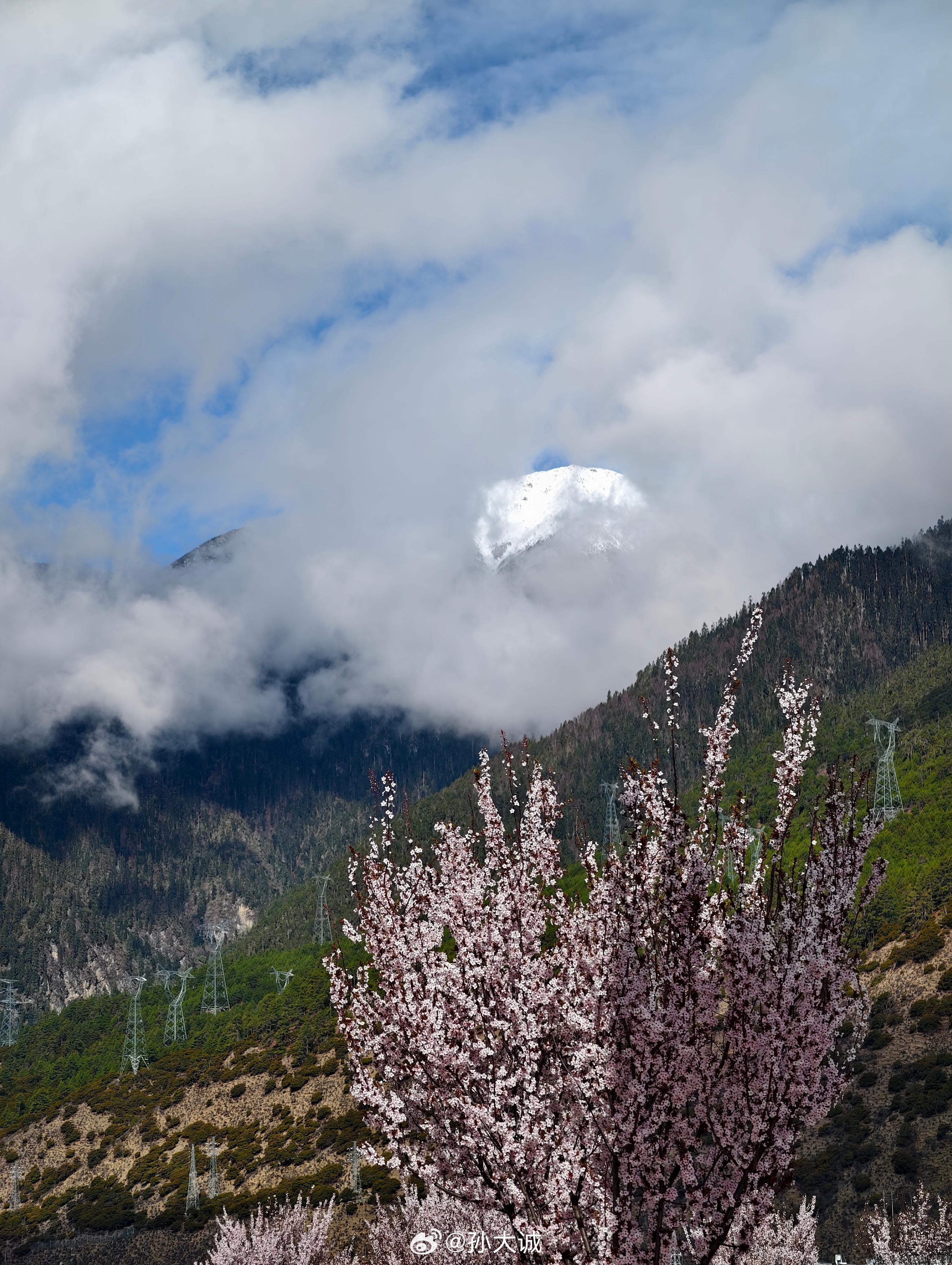 来林芝这两天，入住的酒店里遇到了高规格考察团，看阵势级别低不了。即将离开了，心说