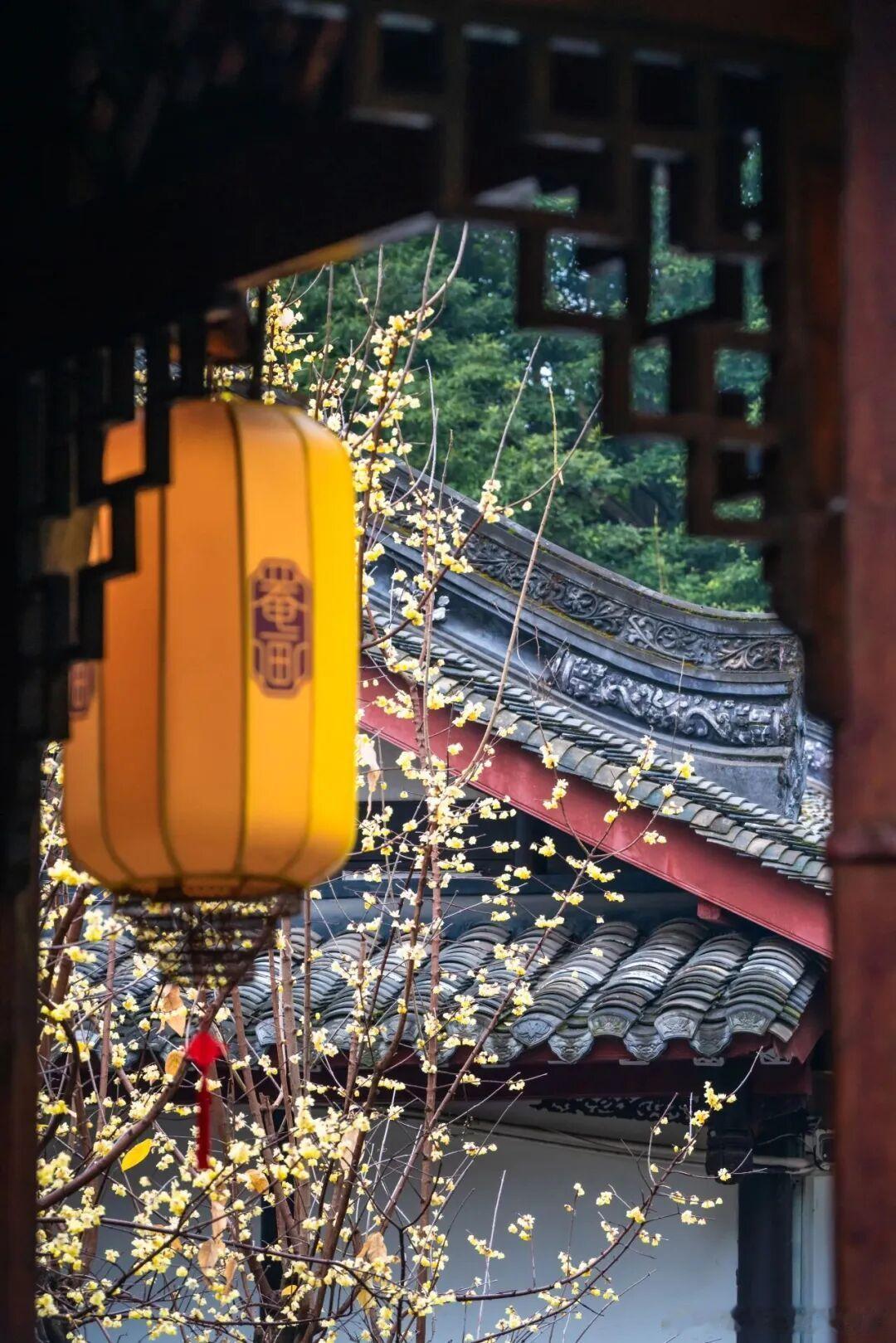 真真实实地被四川美到了，这个五一假期，我将毫不犹豫地奔向四川一起过五一 五一环游