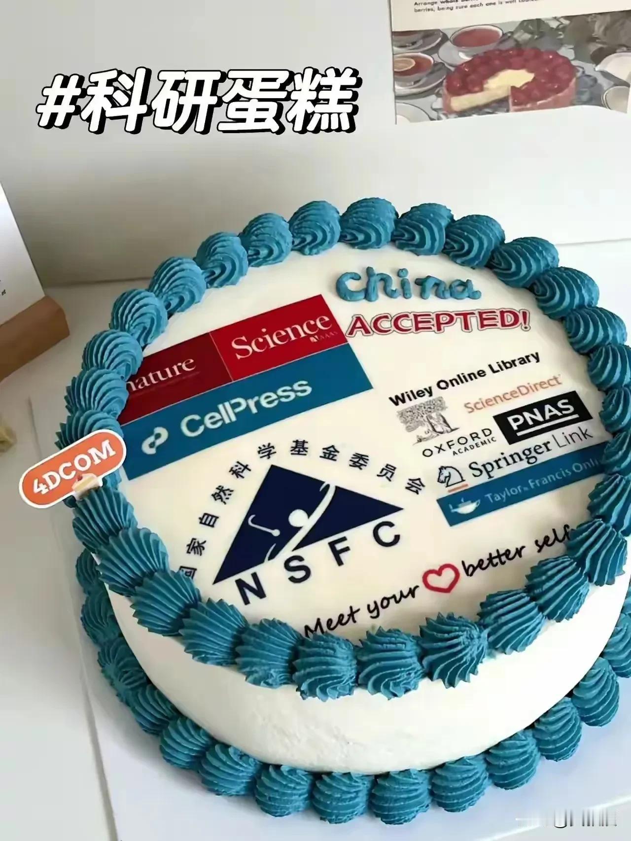 有没有社会科学的蛋糕🍰