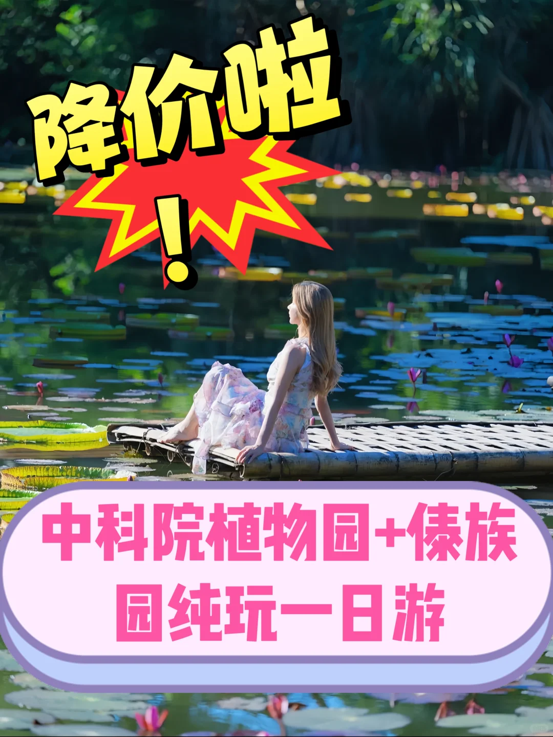 中科院植物园+傣族园纯玩游，让你物超所值