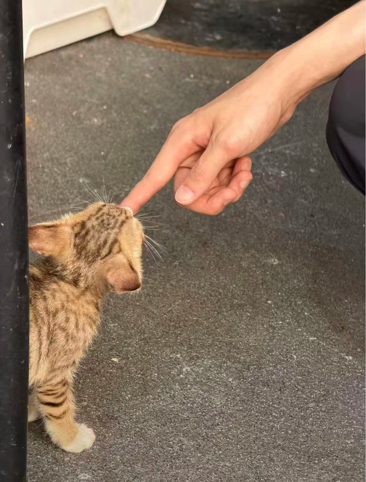 我看就是 