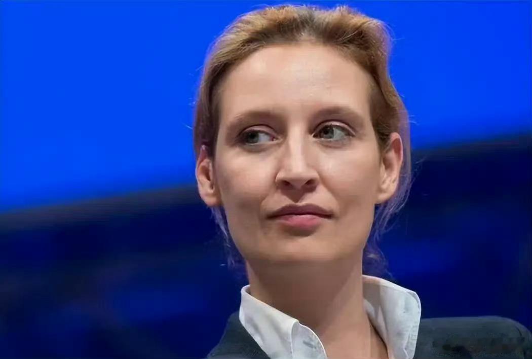 德国选择党反对给列宁大街等以共产活动家名字命名的东德街道更名，理由是更名会抹杀历