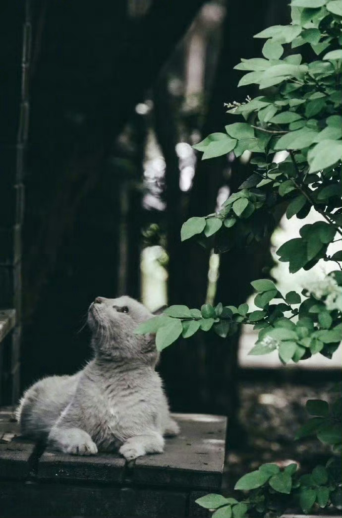 人与人之间，最舒服的关系，是不讨好，不纠缠，彼此尊重，彼此包容。—— 安读舟 