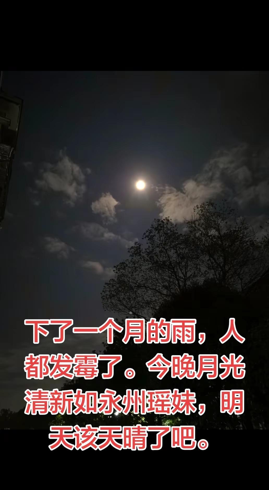永州天晴了！下了一个月的雨，人都发霉了。今晚月光清新如永州瑶妹，明天该天晴了吧。