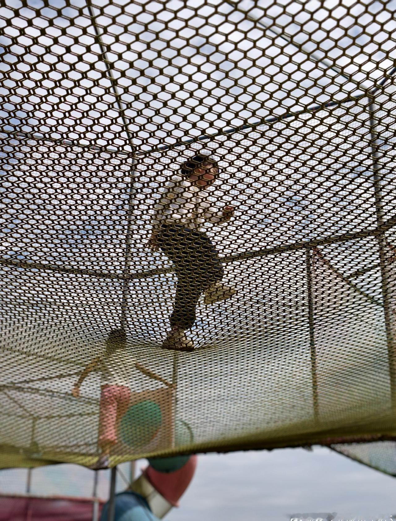 家长怒斥小学附近卖针头捏捏乐这种危险的针头玩具应该严令禁止，注射器现在连药房都买