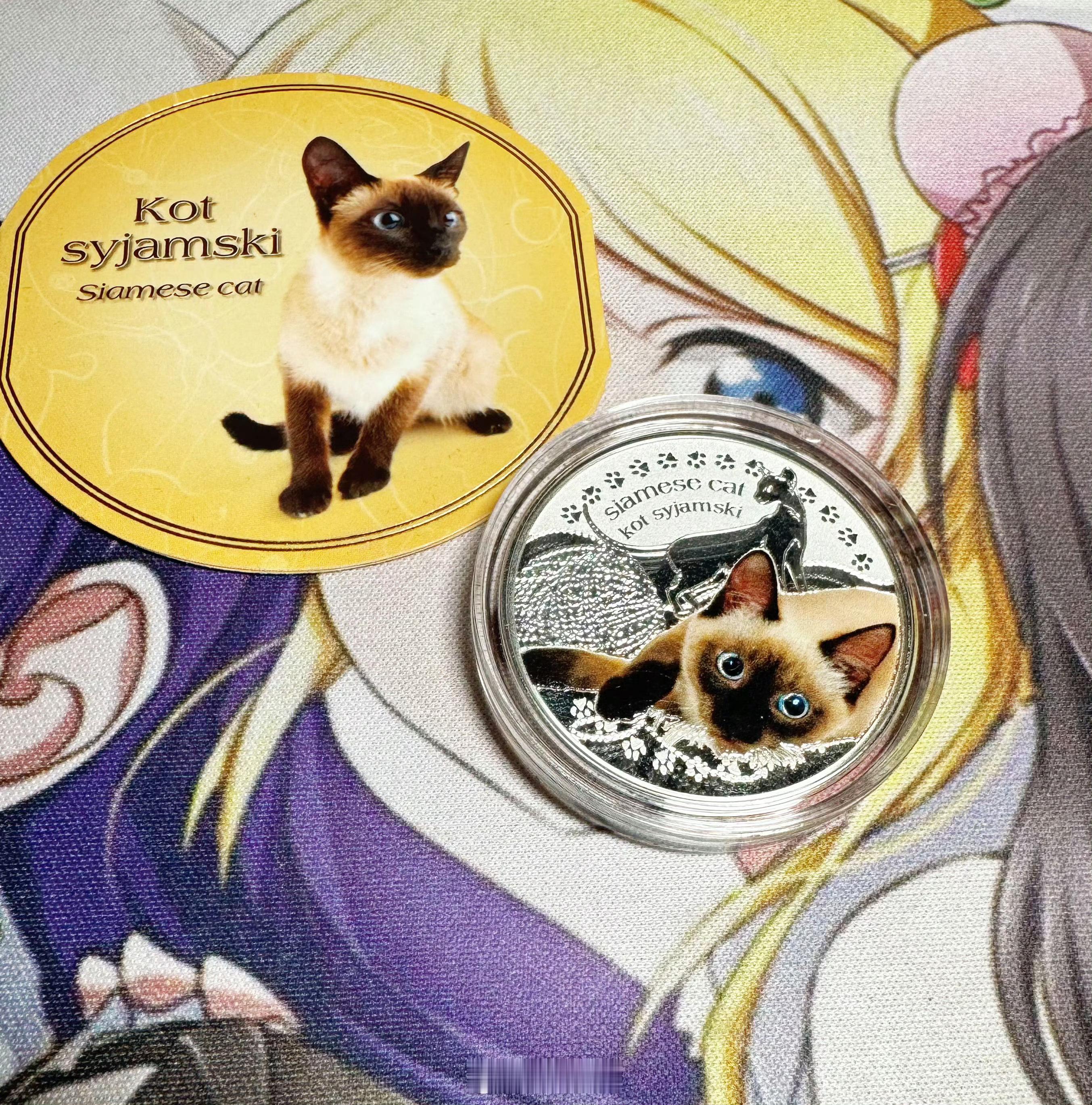 家人对猫毛过敏，只能让大家看看这个猫了。 