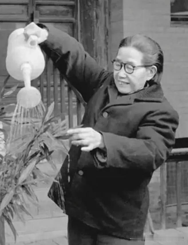 1937年的河西草原，一位女红军刚在当地牧民家中顺利诞下一名男婴，身体虚弱到极致