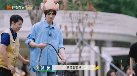 出差的亲爸没招的干爹胆小的它亲爸出差刚走，沙圆圆就原形毕露，胆子小得不行，怂成一