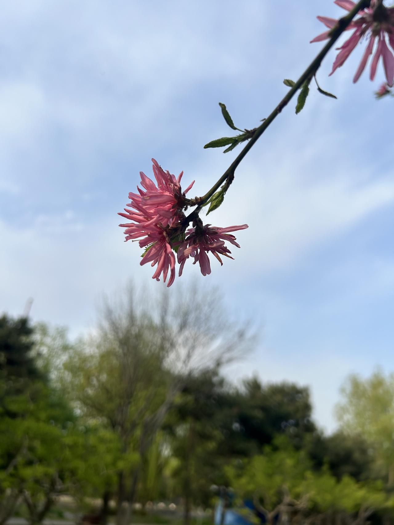 人老实话不多！

“人老实话不多”，这句话要看怎么跟分句！

“人老实，话不多”