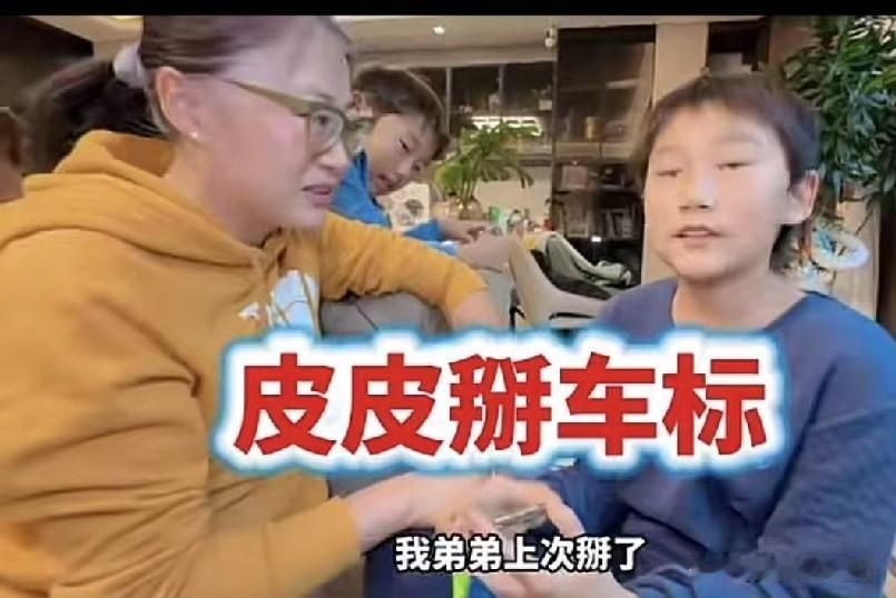 洞姐大儿子在美国学校被停课，原来曾两次掰断奔驰车标，网友质疑 ：真不是省心的，家