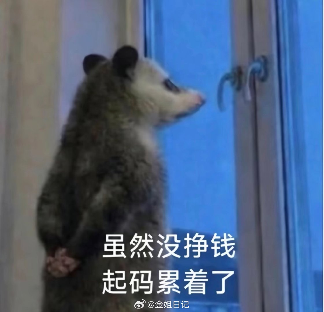 搭子们，金姐今天起晚了闹钟响起心想眯几分钟，再醒来已过半小时了