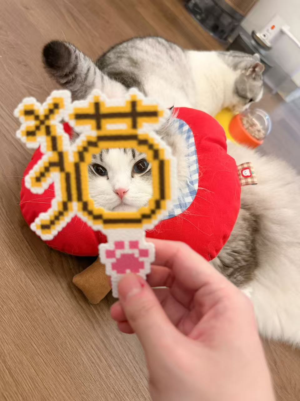 宝宝们儿童节快乐