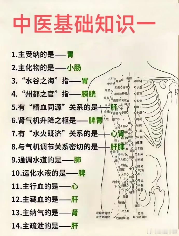 中医基础知识；看图说话； 