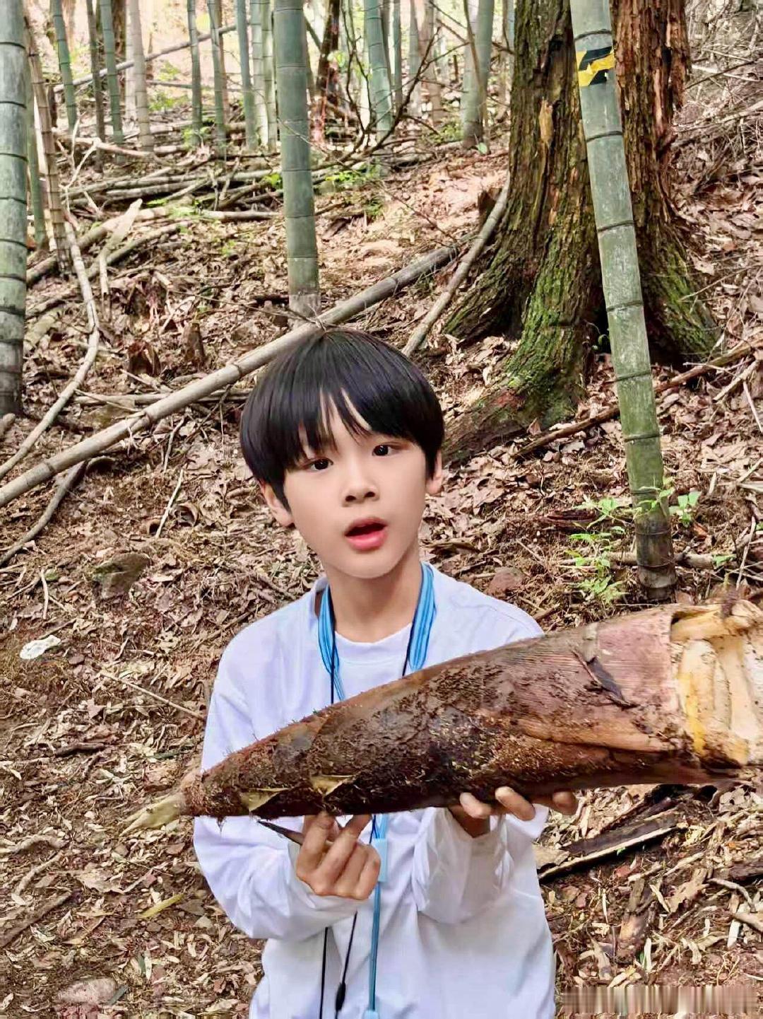 黄圣依小儿子9岁近照黄圣依小儿子9岁身高黄圣依小儿子9岁近照，安麟不仅身高优越，