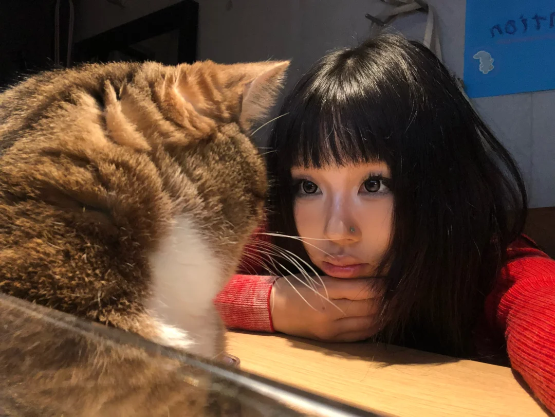 大家国庆快乐呀