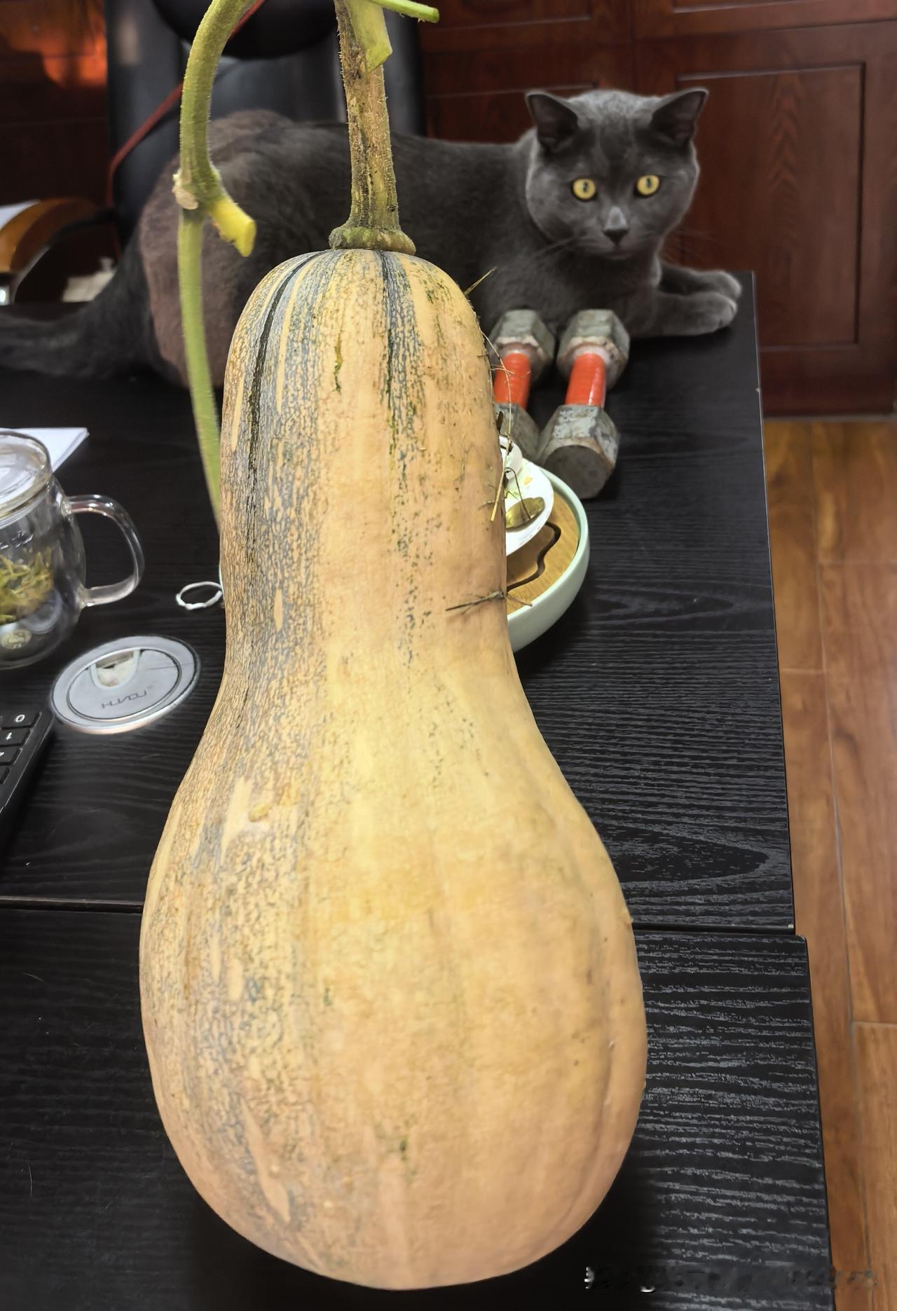 忽然就理解了想不婚不育也不想找工作的年轻人，我按部就班地活了大半辈子，回头看这一