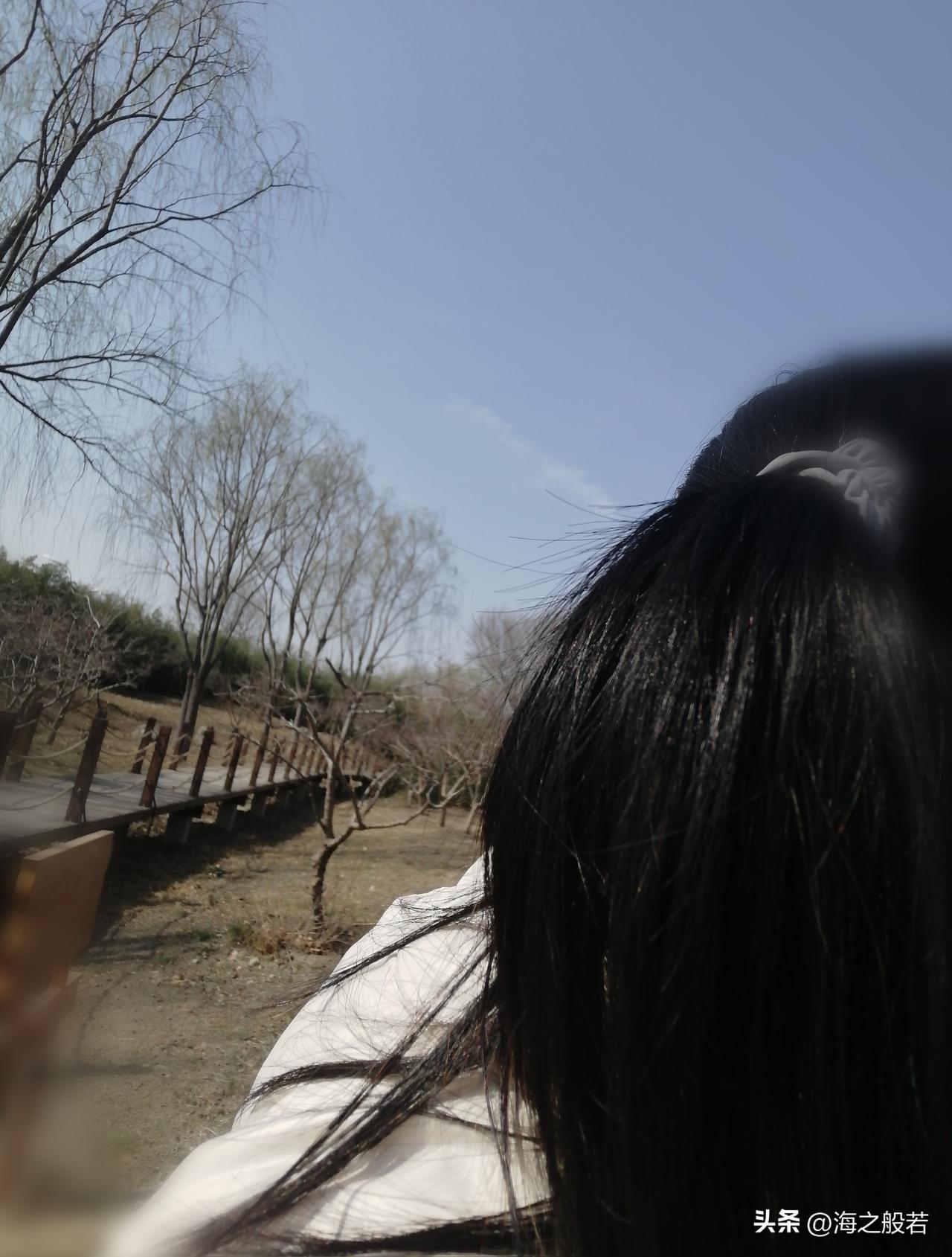 春天里阳光灿烂，出门晒太阳吧，好处太多了。

今天是周末，一边赏花一边晒太阳。晒