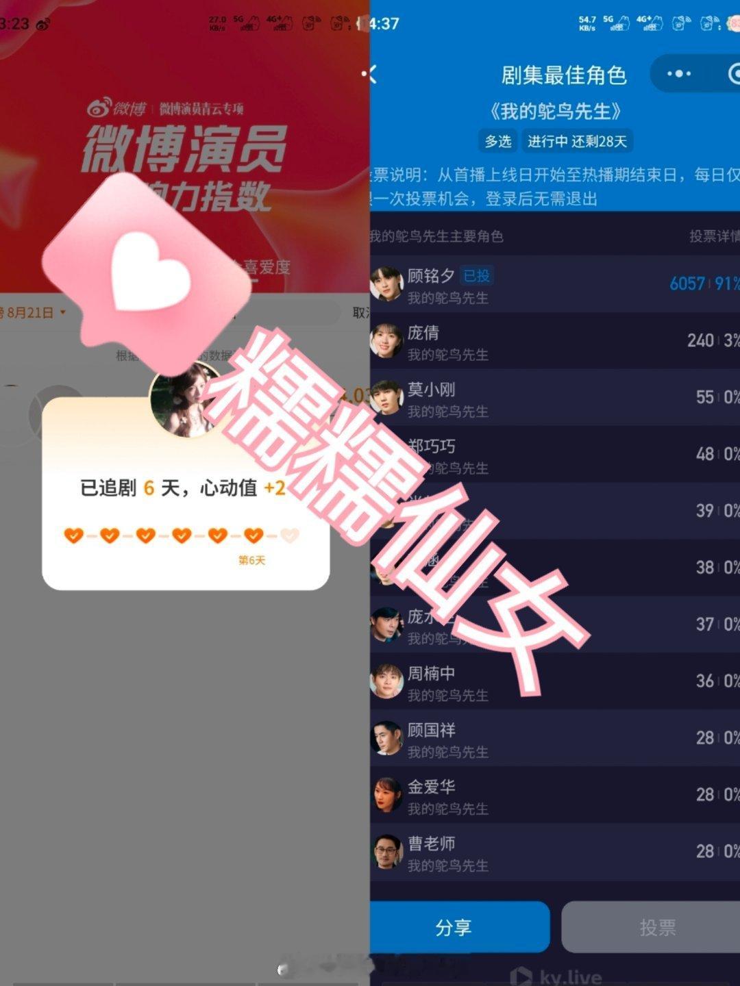 8.21📷【何洛洛🎨顾铭夕 何洛洛顾铭夕  🌇 何洛洛我的鸵鸟先生 🪶】