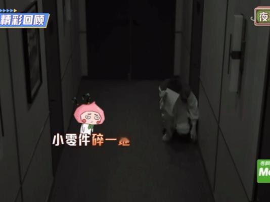 陈哲远sorry了全场 陈哲远的密室恐惧文学又更新了！ ​​​