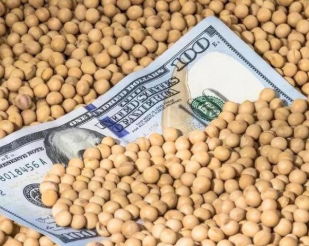 美国大豆为什么非要卖给中国？换个角度想，美国难道不能三年不卖中国，把豆子留在国内