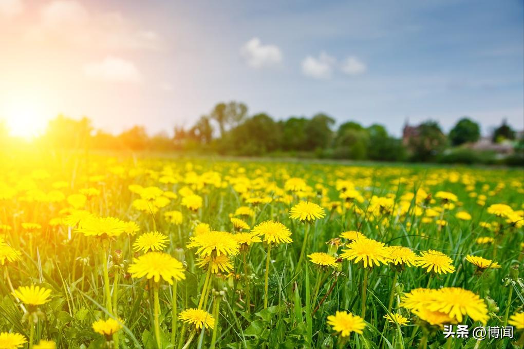 如果有一句爱自己的话，我会毫不犹豫地说：“没关系，你已经足够好了。”

这句话很