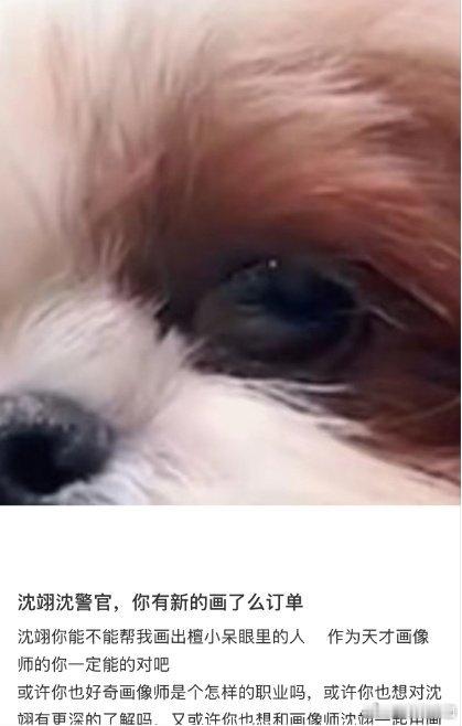 沈翊画了么订单激增 沈翊可以举办全国巡回画画会了！就这个能力真的可以排队排到fa