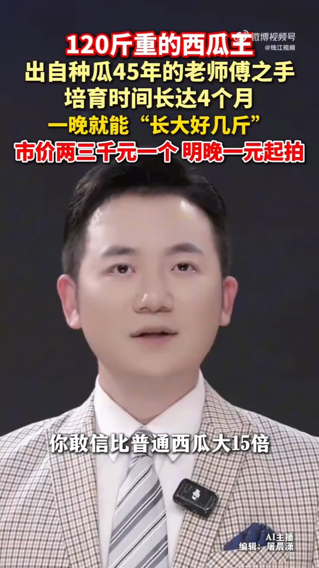 130斤的巨型西瓜曾拍卖到1.3万元120斤重的西瓜王1元起拍 物稀为贵，130