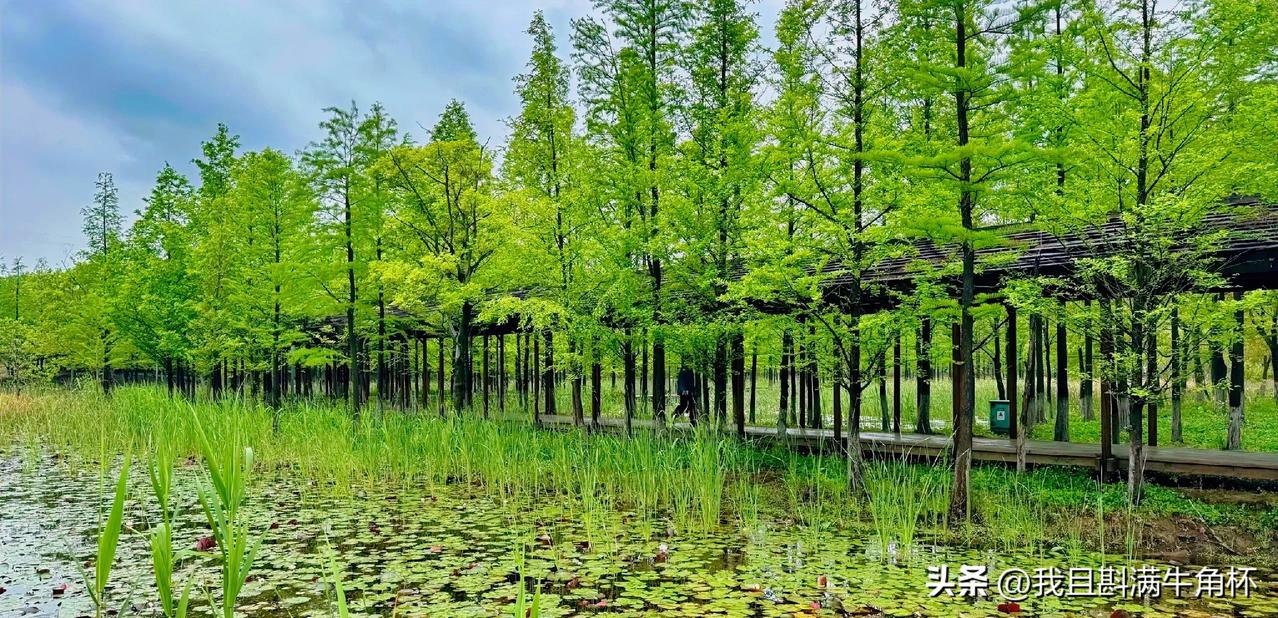 上联：流光寸寸夏清浅
下联：有请雅士[玫瑰][玫瑰][玫瑰]