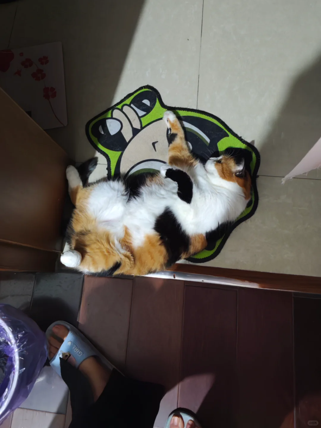 尿床挨骂之后，老花装可怜试探我