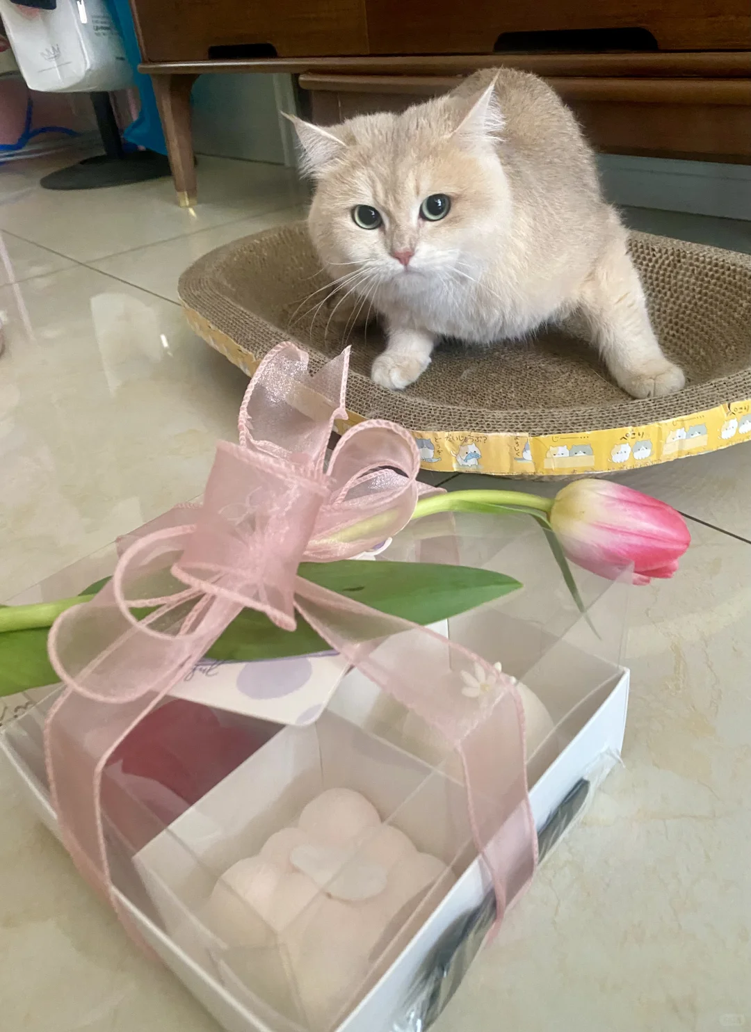 女神节里的甜蜜小甜品