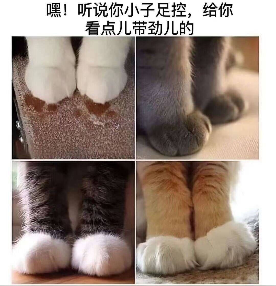 真的带劲儿👍 ​​​