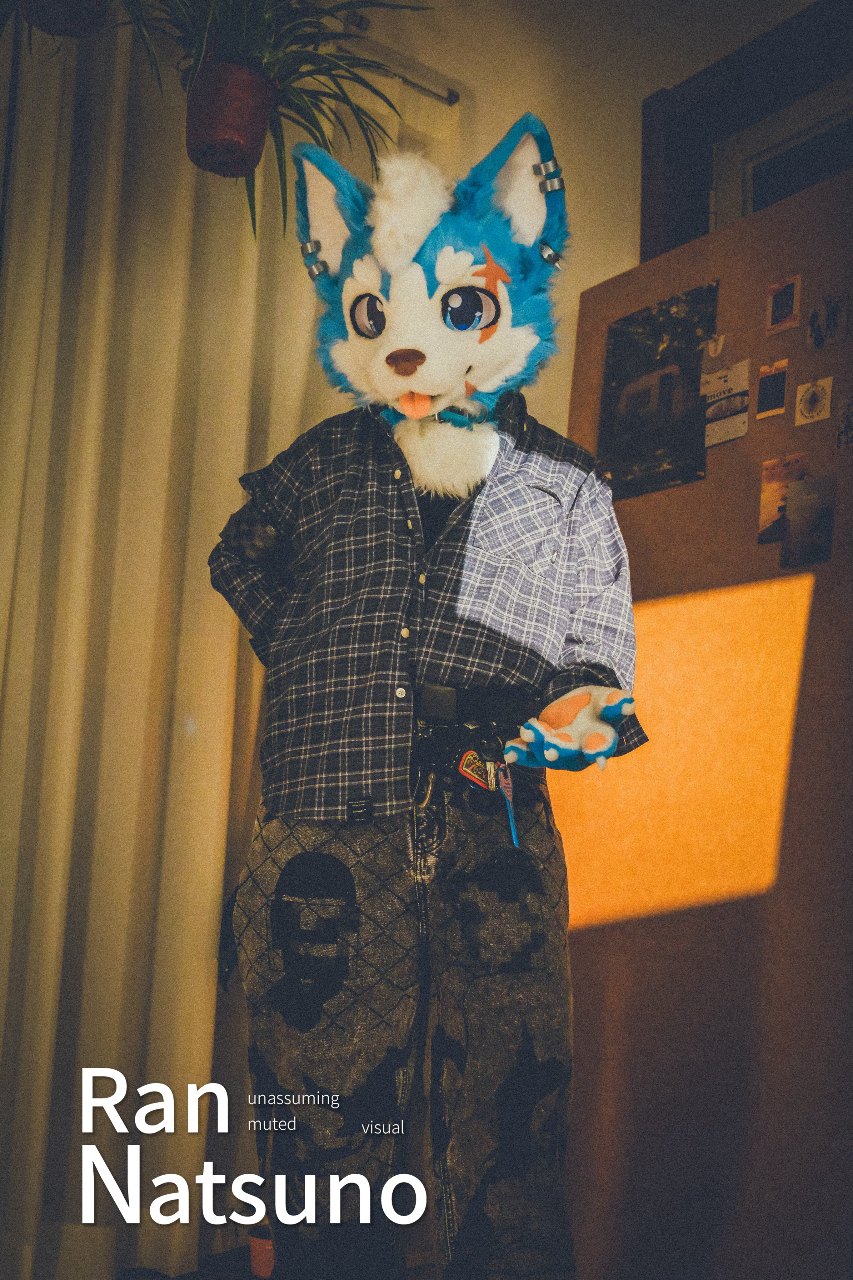 时髦小狗下班回家furry