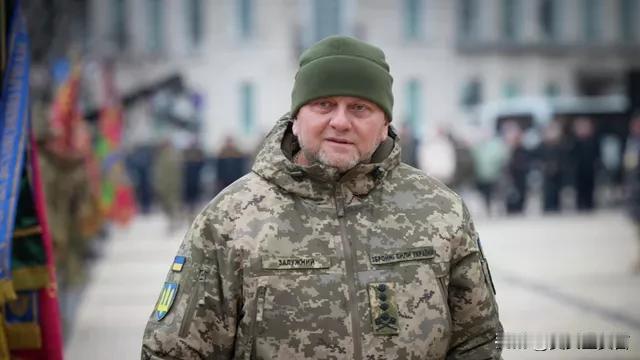乌克兰驻英国大使、前武装部队总司令扎卢日内已向总统泽连斯基表示，他准备参加总统竞