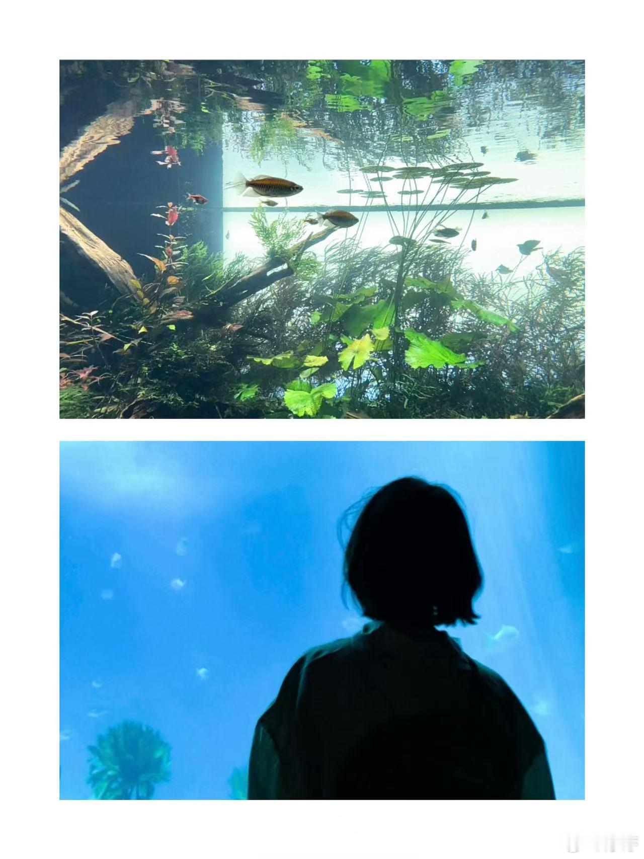 周冬雨一脚把瓶子踢正了周冬雨我都没想到我还有这技能 没有排练没有预判，纯粹直播里